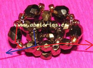 Paso 12